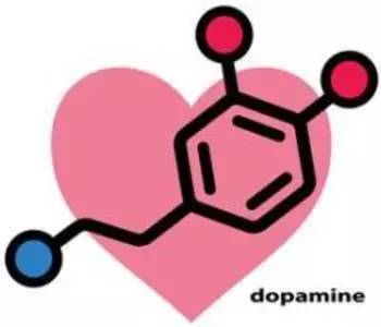 多巴胺4.jpg
