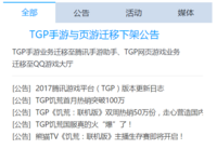 TGP下架页游和手游，欲做中国Steam？